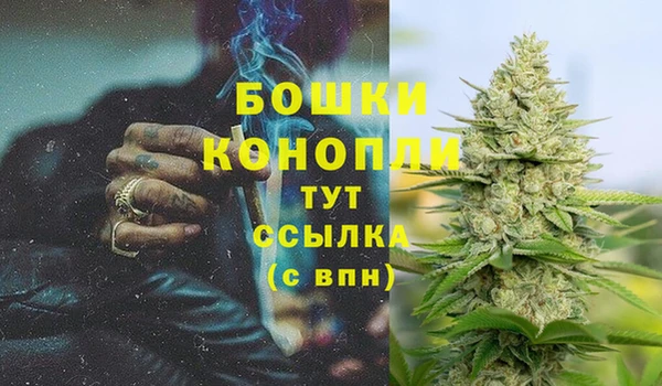 твердый Володарск