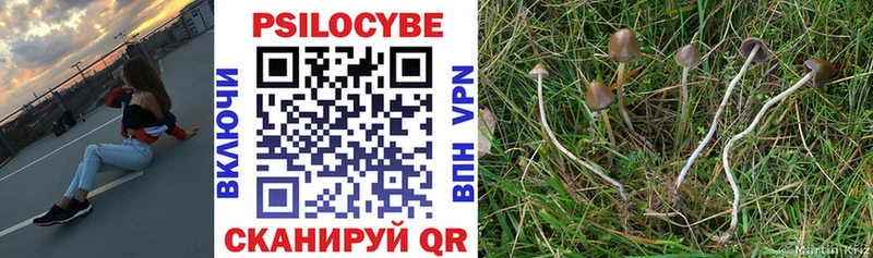 Галлюциногенные грибы прущие грибы  Купить где  Нея 